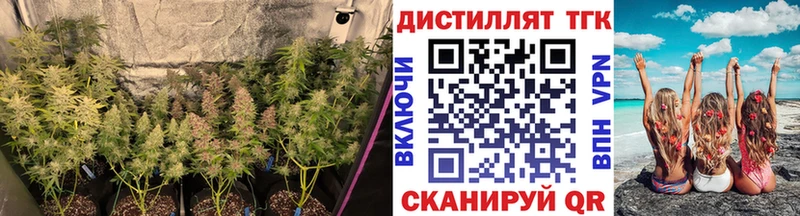 ТГК жижа  купить наркотики сайты  Беломорск 