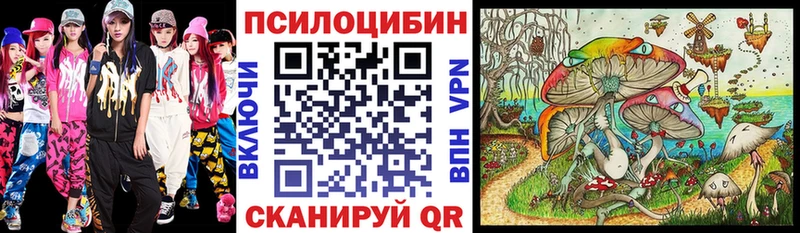 купить  цена  Беломорск  Галлюциногенные грибы GOLDEN TEACHER 